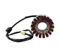 Bobina statore Magnete per Moto, ricambi e Accessori, alternatore Magnete per Ricarica Motore, Bobina statore per Modello VFR800FI 1998-2001