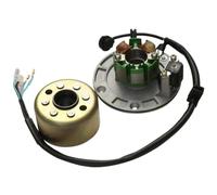 Bobina statore Magnete per Moto, ricambi e Accessori, statore Magnete a 2 Poli, Bobina a 4 Fili, Kit rotore volano per ZongShen 150CC Dirt Pit Parts