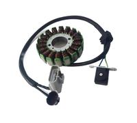 Bobina statore Magnete per motociclette, Tipo statore Magnete a 18 Bobine, Diametro Esterno per TNT25, BN251, TRK251, Versione Motore monocilindrico