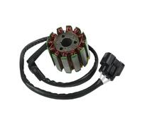 Bobina statore Magnete Ricambi e Accessori per Moto Generatore Magnete Gruppo rotore volano Statore Bobina per YZF R1 2004-2008 per FZ1 2006-2010