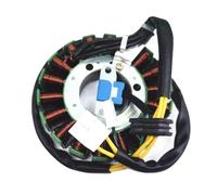 Bobina statore Magnete Ricambi Moto Accessori Cablaggio Bobina statore Gruppo Combinato Bobina Magnete Adatto per Gw250 per Gsx250R