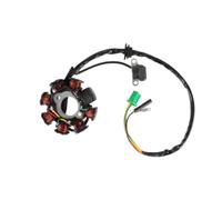 Bobina statore Magnete Statore di accensione Magnete 8 Bobine 5 Fili Adatto per GY6 125cc 150cc per 139QMB per 139QMA 4 Tempi per ATV per Scooter per ciclomotore