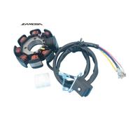Bobina Statore Magnetico Moto Generatore Magneto Statore Bobina FT 125 150 FT125 FT150 8 BOBINE AC Statore CG125 CG 125 Statore Bobina