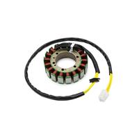 Bobina Statore Magnetico Moto Generatore Magneto Statore Bobina Per Aprilia AP0296410 AP0295170 650 IE 650 Moto-65 650 1995 1996 2004