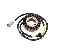 Bobina Statore Magnetico Moto Generatore Magneto Statore Bobina Per Sea-Doo GTI 130 SE 130 GTR 230 GTX 170 RXP X 300 WAKE 155 FISH PRO 170 420889728