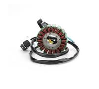 Bobina Statore Magnetico Per SYM GTS 125 LM12W Joymax 125 LN12W GTS 200 LM18W Generatore Magneto Statore Bobina Accessori Moto