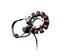 Bobina statore magneto a 12 poli for motocicletta for CG110 2014-2017 2019 ACE110 2014 2015 2019 31120-K08-901
