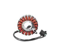 Bobina statore magneto accensione moto compatibile con EX300 N300 250 250R EX250 ER250 Z250 ER300 Z300 ABS 21003-0128