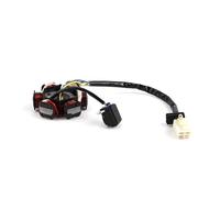 Bobina Statore Magneto-acustica A 5 Fili CA 6 Poli Motori GY6 125cc 150cc, Scooter, Ciclomotore, ATV, Go-kart, TAOTAO, Dune Buggy Statore Ricarica(4 Pin-B)