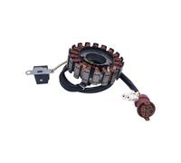 Bobina statore magneto compatibile con ATV300B 300CC LH300 300CC ATV 2.1.01.2061 27450 LU019987