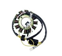 Bobina statore magneto compatibile con generatore motore ATV J500 500CC 192MR-1001410