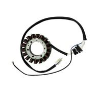 Bobina statore magneto compatibile con XV750 750CC 1988-1997 XV1100 1100CC 1986-1999 Generatore 4PP-81410-00-00 1RM-81410-20-00