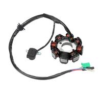Bobina Statore Magneto Generatore Per Scooter A 4 Tempi E Ciclomotori GY6 50cc-150cc 8 Bobine Statore DC Magneto Alternatore Statore Generatore Statore