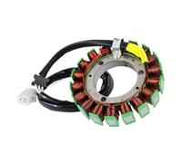Bobina statore moto compatibile con modelli EJ650 W650 EJ400 W400 e edizioni speciali - Sostituisce i codici 21003-1348 e 21003-1384