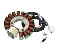 Bobina statore moto compatibile con TTR225 TT-R225 1999-2004 XT225 Serow 225 2001-2007 ST225 Bronco 225 1997
