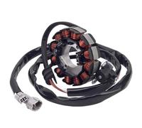 Bobina statore moto compatibile con WR250F WR250 WR 250F 250 F Fit Numeri di parte 5UM-81410-09-00 5UM-81410-31-00