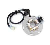 Bobina Statore Moto Per YZ250 Per YZ250G Per YZ250X 2000-2022 Per YZ 250 5CU-85560-00 5CU-85560-01 5CU-85560-02 5CU-85560-10 Bobina Motore