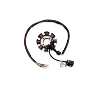 Bobina Statore Motocicletta OTOM 8/12 Poli, Accensione Generatore Per ZONGSHEN CBS300 ZS174MN-3 NB300 ZS174MN-5, Accessori Motore Statore Ricarica(8 Poles)