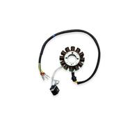 Bobina Statore Motocicletta OTOM 8/12 Poli, Accensione Generatore Per ZONGSHEN CBS300 ZS174MN-3 NB300 ZS174MN-5, Accessori Motore Statore Ricarica(12 Poles)