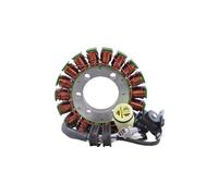 Bobina statore motore magneto generatore compatibile con LTR450 2006-2011 OEM 32101-45G00 32101-45G11