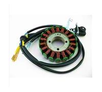 bobina statore Per 200C 250CC CG Basan Shineray Jinling | Magneto Statore 18 Poli Bobina 5 Fili Per 200C 250CC CG Basan Shineray Jinling Dirt Pit Bike Quad Parti