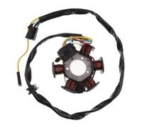 Bobina Statore Per Aprilia RS50 RX50 MX50 Alternatore Piastra Bobina Statore Generatore