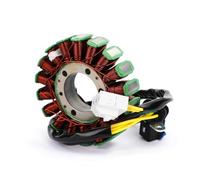 Bobina Statore Per Arctic Cat Per Bearcat Z1 XT GS 2012-2014 3007-231 Bobina Statore Per Motocicletta Magneto Generatore Adatto Statore Accensione Magneto