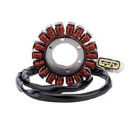 Bobina Statore Per BMW M1000R 2022-2024 M1000RR S1000R 2020-2024 S1000RR 2019-2024 12318396695 Bobina Dello Statore Del Generatore Statore Accensione Magneto