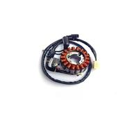 bobina statore Per BYD GTS25 300 Per X7 SR250 | Applicabile A Per BYD GTS25 300 Per X7 SR250 300 Generatore Di Statore A Bobina Magnetica Magneto Engine Magneto Statore
