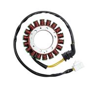 bobina statore Per CBR900RR CBR929RR CBR 900 929 RR | Moto Statore Bobina Magneto Generatore Per CBR900RR CBR929RR CBR 900 929 RR 2000-2001