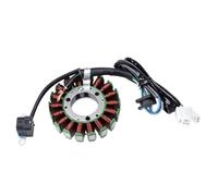 Bobina Statore Per Generatore Di Motocicletta Comp Per Ya&ma&ha Per TTR250 TT250R RAID TT250 4GY-81410-01-00 Bobina Statore Raddrizzatore Bobina Accensione