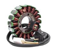 Bobina Statore Per Kawasaki 2003 Per KLX400R - Per KLX400-B1 GENERATORE Bobina Dello Statore Di Carica Del Generatore Magneto Per Moto Statore Accensione Magneto
