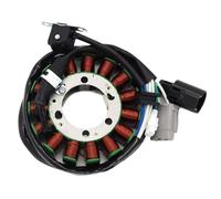 Bobina Statore Per Kawasaki Per KRF800 Per KRT800 Per Teryx Per KRF 800 Per Teryx4 21003-0166 Bobina Statore Magnete Moto Statore Accensione Magneto