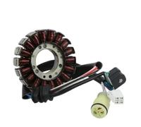 Bobina statore per Moto Bear Yfm250 2005-2009 Big Bruin | per Bear Yfm250 2005-2009, Facile Installazione, Durevole, Costruzione Robusta, Montaggio preciso, Prestazioni stabili