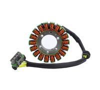 Bobina Statore Per Polaris Per Sportsman X2 700 X2 800 EFI Per Ranger 700 XP RZR 4 800 Ricambio OEM N. 4011982 4014034 4011399 Bobina Magnete Statore Statore Accensione Magneto