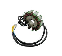 Bobina statore per Shineray 250 XY250ST-9 per STIXE per Haili SP307-J Power