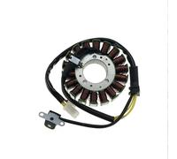 Bobina Statore Per Triumph Per Daytona 675 ABS Per Street Per Triple 675 675R 06-2017 Bobina Di Accensione Magnete Statore Per Moto Statore Accensione Magneto