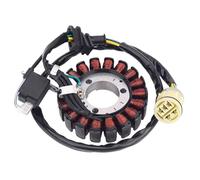 Bobina Statore Per TRX350FE Per Rancher 4x4 ES ATV 2001-2006 31120-HN5-M01 Bobina Dello Statore Del Generatore Per Moto TRX350 TRX 350 FE Statore Accensione Magneto