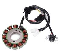 Bobina Statore Per WR250F WR 250F 250 F 2004-2009 2011-2014 5UM-81410-09-00 5UM-81410-31-00 Bobina statore magnete adatta Statore Accensione Magneto