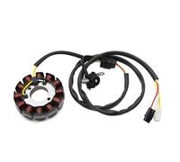 Bobina Statore Per WR450F WR450 Ricambi OEM: 5TJ-81410-01 5TJ-81410-02 5TJ-81410-09 5TJ-81410-10 Bobina Statore Magnete Generatore Moto Statore Accensione Magneto