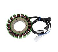 Bobina Statore Per XV1100 Per Virago 1100 XV Virago1100 1986-1999 XV750 Per 750 1988-1997 Generatore Magneto 1TA-81410-20 Bobina Magnetica Accensione