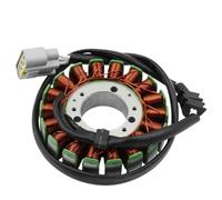 Bobina Statore Pro Ignitor Compatibile Con Yamaha YZFR1 YZF-R1 2002 2003