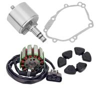 Bobina Statore Volano Rotore Magnete Guarnizione In Gomma Per Yamaha YZFR1 R1 2004-2008 FZ8 FZ8N FZ8S 11-13 FZ1 FZ1-N FZ1-S