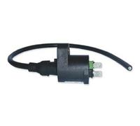 Bobina Tecnium By Dze 4019 Trx 250 Accensione Elettrica Cdi Per Moto Ricambi