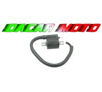 BOBINA YAMAHA 80 N-LW 2001 RMS 246010040