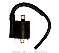 Bobina Yamaha Xmax 125-250-400 12v-3 ohm-2 Fastons-Con Cavo 20cm Moto Motore