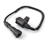 Bobinaaccensione motocicletta Per Mini Per Adly Per Auto Per OnRoad Per ATV Per Hurricane Per Sport Per Crossover Per Crossroad Bobina Accensione 30500-272-000 set