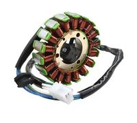 Bobinaaccensione motocicletta Per TTR250 Per RAID 1996-2004 Bobina Dello Statore Generatore Motocicletta 4GY-81410-01-00 4GY-81410-02-00 set