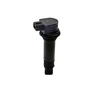 Bobine Accensione Autoveicoli Per CFMOTO Per CF250 1 Pz Bobina Di Accensione Per Moto ODMO-178000 ODMO178000
