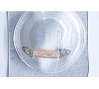 Bobine Coil Spule Bobina SEIKO Quarz NOS CAL 2K01A